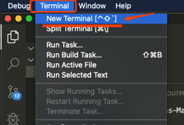 Active Terminal